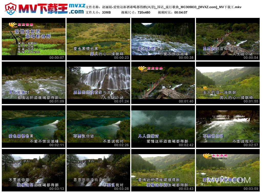 赵丽娟-爱情这杯酒谁喝都得醉(风景)_国语_流行歌曲_MC305833